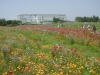 img0059.jpg