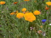 img0060.jpg