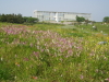 img0061.jpg