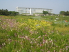 img0062.jpg