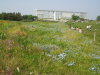 img0063.jpg