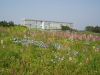 img0064.jpg