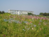 img0065.jpg