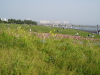 img0066.jpg
