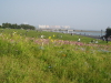 img0067.jpg