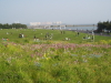 img0068.jpg