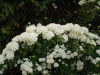 img0069.jpg