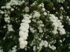 img0070.jpg