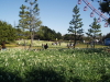 img0079.jpg