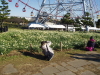 img0083.jpg
