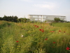 img0087.jpg