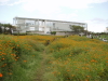 img0090.jpg