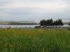 img0092.jpg