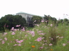 img0093.jpg