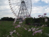 img0094.jpg