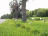 img0095.jpg