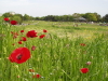 img0100.jpg
