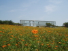 img0105.jpg