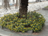 img0112.jpg