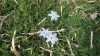 img0116.jpg