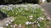 img0119.jpg