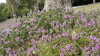 img0120.jpg
