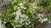 img0131.jpg