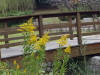 img0146.jpg