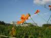 img0149.jpg