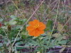 img0151.jpg