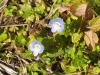 img0160.jpg