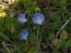 img0161.jpg