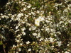 img0162.jpg