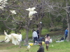 img0169.jpg