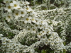 img0170.jpg