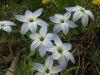 img0187.jpg