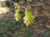img0190.jpg