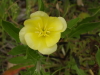 img0191.jpg