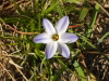 img0193.jpg