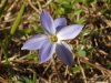 img0194.jpg