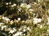 img0199.jpg