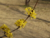 img0201.jpg