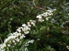 img0206.jpg
