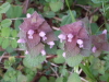 img0207.jpg