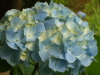 img0210.jpg