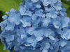 img0213.jpg