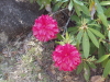 img0218.jpg
