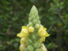 img0219.jpg