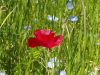 img0222.jpg