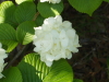 img0224.jpg